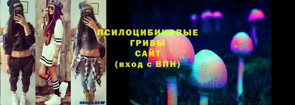 прущий лед Алексеевка