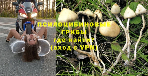 прущий лед Алексеевка